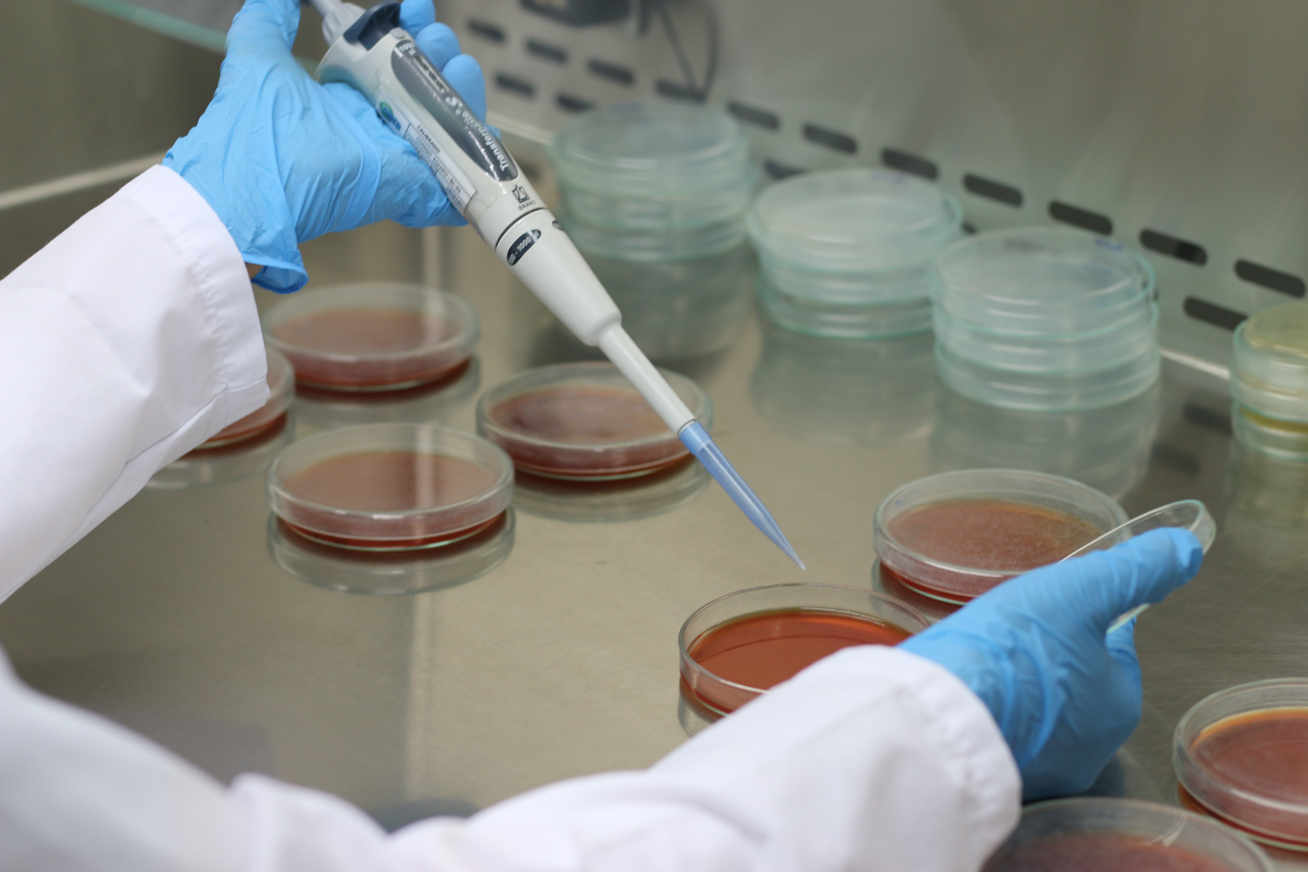 Laboratorio